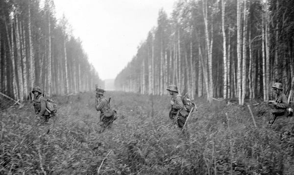 Фінські солдати перетинають кордон із СРСР, літо 1941 року. Фото: Wikimedia Commons