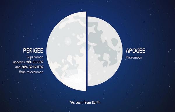 Порівняння видимих з Землі розмірів супутника: Мікромісяць (Апогей) та Супермісяць (Перигей). У Супермісяці супутник видається на 14% більшим та на 30% яскравішим. Джерело: NASA/JPL-Caltech