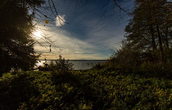 Вид з однойменного острова на озері Світязь. Фото: Микола Тимченко для "Рубрики"