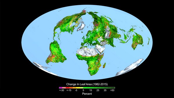 Прирост площади листвы в 1982&ndash;2015 годах